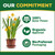 Espoma Organic Holly-Tone 4-3-4 Natural & Organic Evergreen & Azalea Plant Food; 36 lb. Bag; The Original & Best Fertilizer for All Acid Loving Plants Including Rhododendrons & Hydrangeas