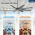 Amico 72 Inch Outdoor Ceiling Fan No Light with Remote,Black
