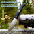 Cutlery Rivets 5/16" x 5/8" for Knife Making Handle Pins Brass Finish Adds a Touch of Sophistication to Any Knife Handle -12 sets