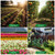 UCINNOVATE Garden Sprinkler, 360°Rotation Lawn Sprinklers, Garden Above Ground Sprinkler System Kit, Large Area Coverage, Watering Systems for Yard, Large Garden Watering System with 52.5FT Hose