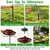 Gleom Metal Bird Bath with Solar Fountain, 38.8" Standing Bird Bath