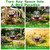 Gleom Metal Bird Bath with Solar Fountain, 38.8" Standing Bird Bath