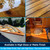 TotalBoat Lust Marine Spar Varnish for Boats & Wood - Matte Pint