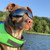 NAMSAN Dog Sunglasses for Medium to Large Dogs, UV Protection Dog Goggles Large Breed, Driving Sunglasses for Dogs Stick Head Out Car Window, Windproof Dustproof, Adjustable, Black