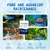 2pcs Aqua Guardian Pro Formula for Pond, Aquatic Care Powder for Pond and Aquarium, Easy Mix Water Care Support for Fish, Shrimp & Crab, Maintenance Friendly Pond Water Treatment (2PC, A)