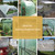 GUARD SHIELD Clear Green Tarp Heavy Duty 16x20 Feet Waterproof for Greenhouse Outdoor Garden Poly Cover UV Resistant 3x3 Weave 10mil