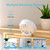 Indoor Digital Hygrometer Thermometer for Room Temperature Humidity Meter