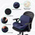 FuturaLoom Ergonomic Seat Cushion for Sciatica Relief & Long Driving - Memory Foam Back Support with Adjustable Strap, Non-Slip Base & Removable Mesh Cover - Office, Car (Navy Blue)