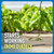 Roundup Weed & Grass Killer4 with Pump 'N Go 2 Sprayer, 1.33 gal.