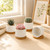ZOUTOG 8 Pack 3.1" Ceramic Succulent Pots,White Planter with Drainage Tray