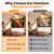 40 Inch Small Projector Screen, Upgrade Portable Pull Down & Roll Up Projector Screen for Car, SUV, RV, MPV, 16:9 HD 4K Mini Drop Down/Roll Down Movie Screen for Bedroom, Vans, Tent, Manual Rolling