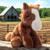 The Petting Zoo Floppy Horse Stuffed Animal Plushie, Gifts for Kids, Wild Onez Wildlife Animals, Horse Plush Toy 8 inches The Petting Zoo Floppy Horse Stuffed Animal Plushie, Gifts for Kids, Wild Onez Wildlife Animals, Horse Plush Toy 8 inches