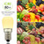 Poeland E14 Led Light Bulb 1.5W 120V Pack of 4 Warm White