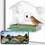 HomiQ Life Smart Bird Feeder with Window Camera, 2K HD Camera for Window Viewing, AI BirdSpecies Recognition & Instant Alerts, Sturdy Acrylic Outdoor, Alexa Compatible, Gift for Bird Lovers