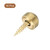 uxcell 16Pcs Brass Decorative Screws with Caps, 9mm Mirror Screws Cover Self-Tapping Screws for Furniture Fixing, Gold Tone