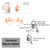 HYS Soft Silicone Ear Buds Earmolds Replacement Acoustic Tube Ear tip