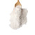 동의한재 100% 국산 백복령 가루 분말 300g x 2개/Donguihanjae 100% Domestic Poria Cocos Powder 300g x 2 packs