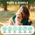 Dog Vitamins and Supplements - 150 Dog Multivitamin Chewable - Immune, Joint Support, Skin, Gut Health + Packed with Omega 3s, Glucosamine & Probiotics - Safe for Puppy - Duck