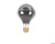 G125 Large LED Oversize Light Bulbs,Dimmable 5W, E26 (Smoky)