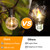 Bosceos 60FT Outdoor G40 LED Globe String Lights Dimmable