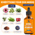 Dog Antibiotics for Infections, Allergies & Coughs – Bacon Flavor, 2 Oz