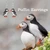 Puffin Dangle Earrings for Women: Silver Puffin Earrings Bird Jewelry Gifts