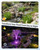 POPOSOAP Pond Fountain Pump Kit with RGB LED Lights & Remote Control, 660GPH Quiet Submersible Water Pump, 3 Spray Nozzles for Backyard Garden, Koi Pond, Fish Tank, Outdoor Water Feature Decor-P1104D