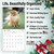 RED EMBER Pomeranians 2025 Wall Calendar 12 Month | 12" x 24" Open | Thick & Sturdy Paper | Giftable | Calendar 2025