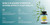 LymphX Liver Milk Thistle Herbal Supplement for Liver, Lymphatic & Immune Support – 100 Capsules