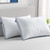 BedStory Bed Pillows for Sleeping-Queen Pillows 2 Pack-Cooling Pillows with Mesh Design-Premium Soft Down Alternative Fill Supportive for Back, Stomach or Side Sleepers,White BedStory Bed Pillows for Sleeping-Queen Pillows 2 Pack-Cooling Pillows with Mesh Design-Premium Soft Down Alternative Fill Supportive for Back, Stomach or Side Sleepers,White