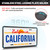 RED WOLF Stainless Steel License Plate Frame Holder Frame Backing Reinforce Bracket 6 x 12 Inch Car Tag for SUV Pickup Truck Trailer Front Rear Bumper w/o Obstruction with Screw Accessories