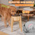 KEVIDEAWL Elevated Dog Bowls for Large Dogs Feeder Two Bowls with a Stainless Steel and Bamboo Dishes，Raised Dog Bowl Stand with Non-Slip Feet，Ideal for Medium and Large Breeds， (13.5-inch High)
