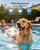 Dog Shock Collar for Dogs - 4200FT Dog Training Collars with Remote