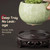 Hapivida 2Pcs Plant Stand, 6.1in Round Riser Flower Pot Display Stand Bonsai Rack Holder Planter Tray Table Lamp Base for Indoor Outdoor Desktop Counter