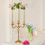 Ninehaoou 6 Pack 5.9" Glass Bud Vase Taper Candle Holder