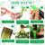 8 Set Plant Watering Devices with Self Spikes and Plastic Bottles, Green