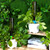 8 Set Plant Watering Devices with Self Spikes and Plastic Bottles, Green