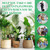 8 Set Plant Watering Devices with Self Spikes and Plastic Bottles, Green