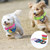16 Pcs Adjustable Newborn Puppy Collars for Litter - 8 Colors PU Leather Whelping Collars for Puppies, Suitable for Small Medium Breed Dogs & Kittens (9.05-11.41 Inches)