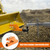 EBESTTECH Tractor Bucket Receiver Hitch 2 inch Clamp on Trailer Hitch for Tractor Non-Slip Bucket Hitch Ball for Lawn Kubota Deere Bobcat Orange Attachment