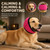 Dog Head Wrap, Dog Ear Muffs, No Flap Ear Wraps for Dogs Hematoma - Waterproof Elastic Ear Cover with Calming Hoodie (Gray, Medium)