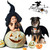 LKEX Dog Bat Wings, Pet Halloween Costume for Medium Large Dogs Funny Dog Clothes with Leads and Pumpkin Bells Puppy Dress Up Halloween Decorations Apparel (Large)