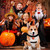 LKEX Dog Bat Wings, Pet Halloween Costume for Medium Large Dogs Funny Dog Clothes with Leads and Pumpkin Bells Puppy Dress Up Halloween Decorations Apparel (Large)
