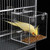 Pawfly No Mess Bird Feeder, Clear Acrylic Bird Cage Feeder, Hanging Bird Feeder for Cage, Parakeet Feeder, Bird Seed Catcher, Food Container for Parrot, Cockatiel, Budgie & Lovebird, Medium