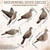 Thenshop 6 Sets Dove Hunting Decoys Realistic with Metal Stand Decor
