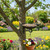 Belanttega Metal Tray Bird Feeder, Heavy Duty Mesh Seed Tray for Wild Bird