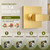 UZLEZ Replacement for Delta 13/14 Series Shower Valve Trim Kit,Brushed Gold