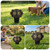 No Poop or Pee Dog Sign - 2 Pack, 14.5”X9.5” Keep Off The Grass Aluminum-Plastic Composite Lawn Sign with Integrated Stake, Outdoor Pet Warning Signs for Yard, Garden, Lawn, Weatherproof, Easy Install