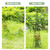 52.5in Metal Garden Obelisk Trellis, Sturdy Durable Climbing Plant Support