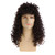 Eonfiwg Dark Brown Mens Long Curly Wig 70s 80s Rocker Costume Syntheic Wig for Halloween Cosplay Party